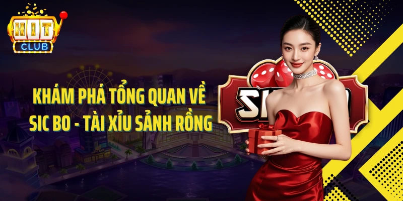 Khám phá tổng quan về Sic bo - Tài xỉu Sảnh Rồng